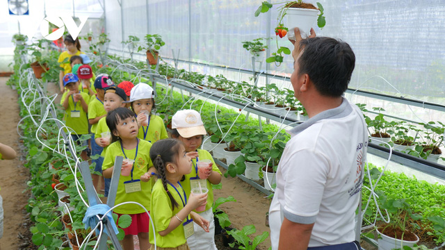 Thanh niên 9X thu tiền tỷ từ mô hình nông nghiệp sạch - Ảnh 2. Thanh niên 9X thu tiền tỷ từ mô hình nông nghiệp sạch - Ảnh 2.